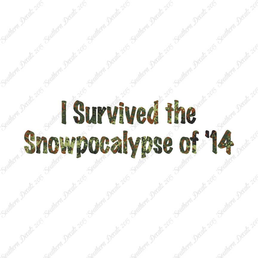 Survived Snow pocalypse