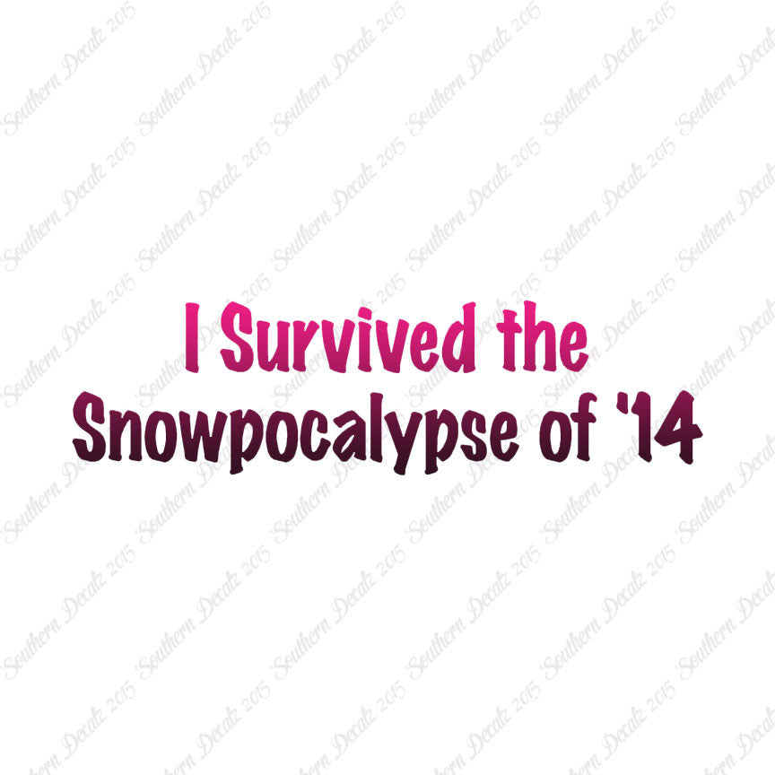 Survived Snow pocalypse