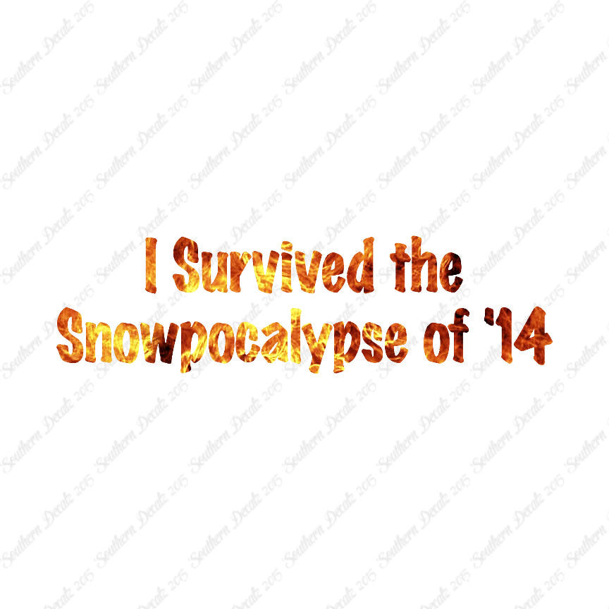 Survived Snow pocalypse