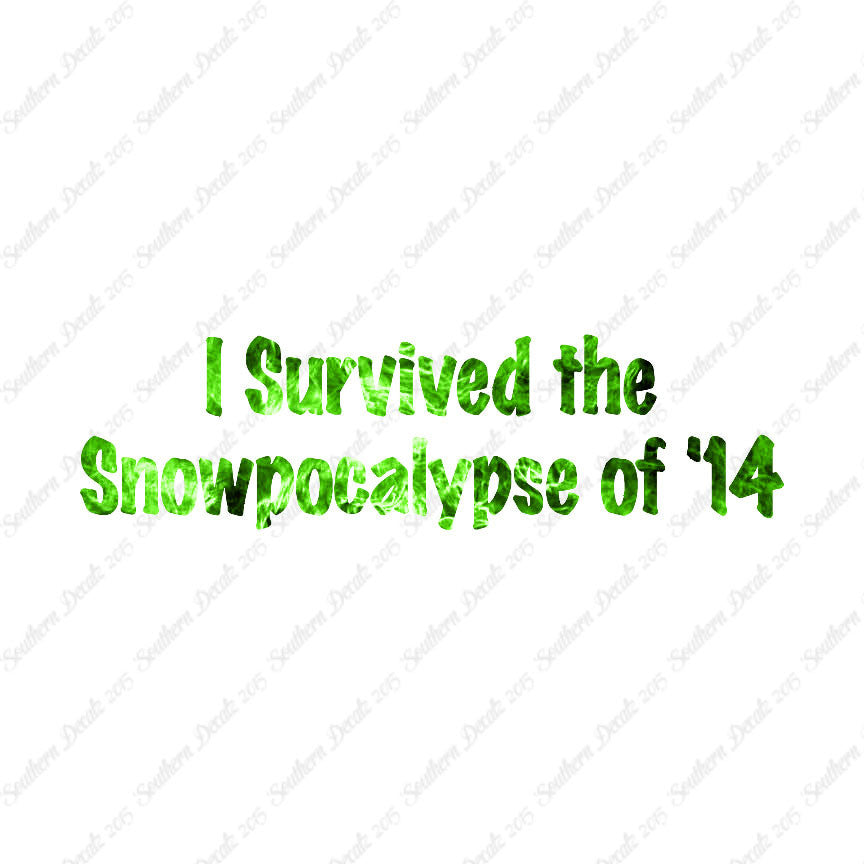 Survived Snow pocalypse