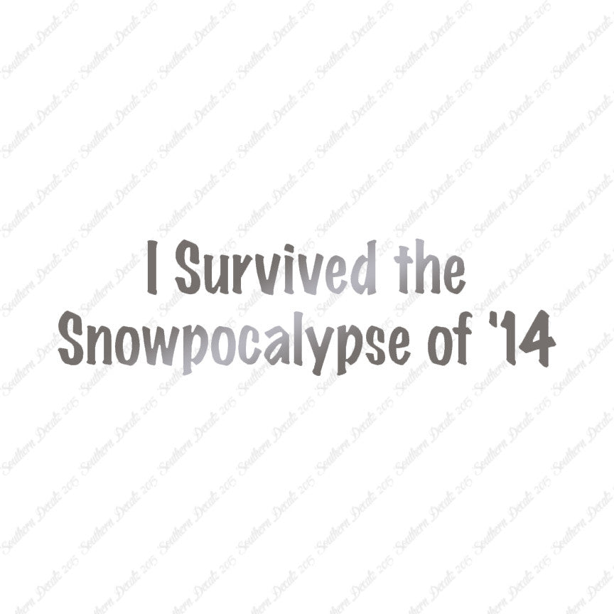 Survived Snow pocalypse