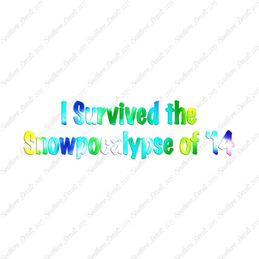 Survived Snow pocalypse