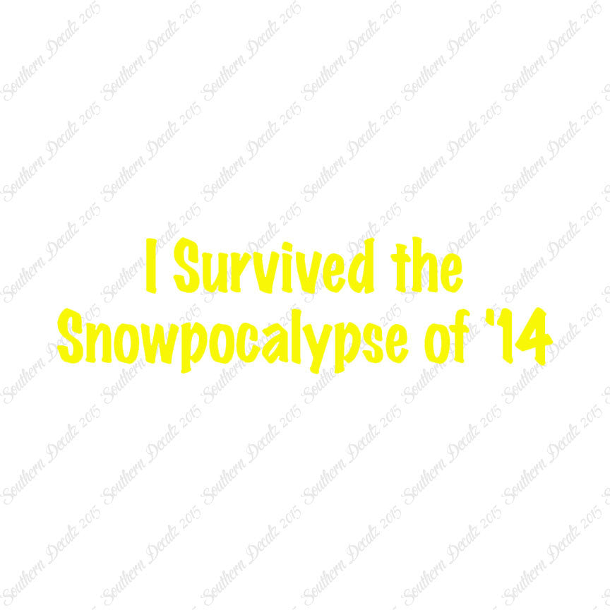 Survived Snow pocalypse