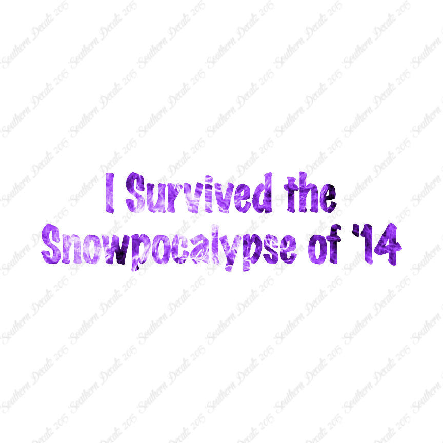 Survived Snow pocalypse