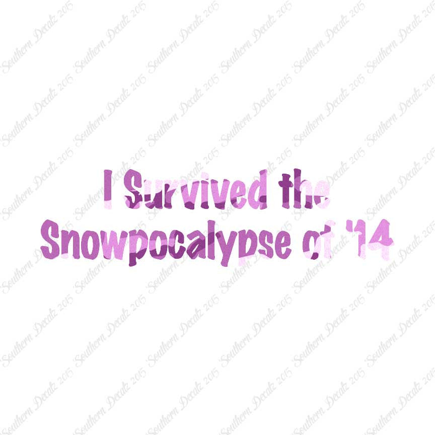 Survived Snow pocalypse