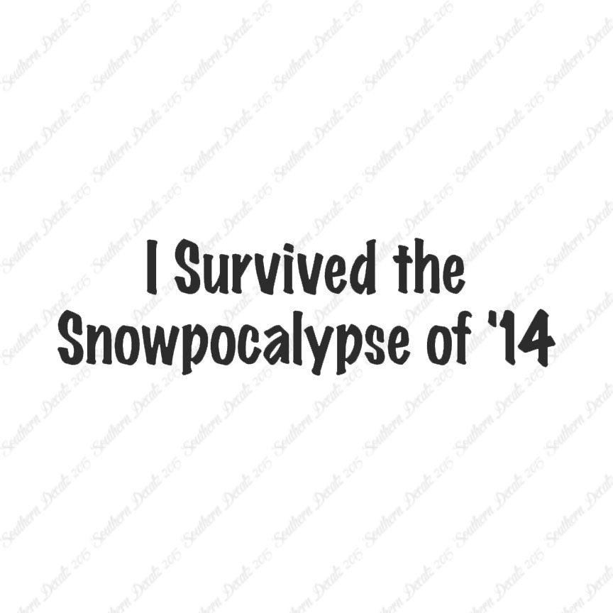 Survived Snow pocalypse