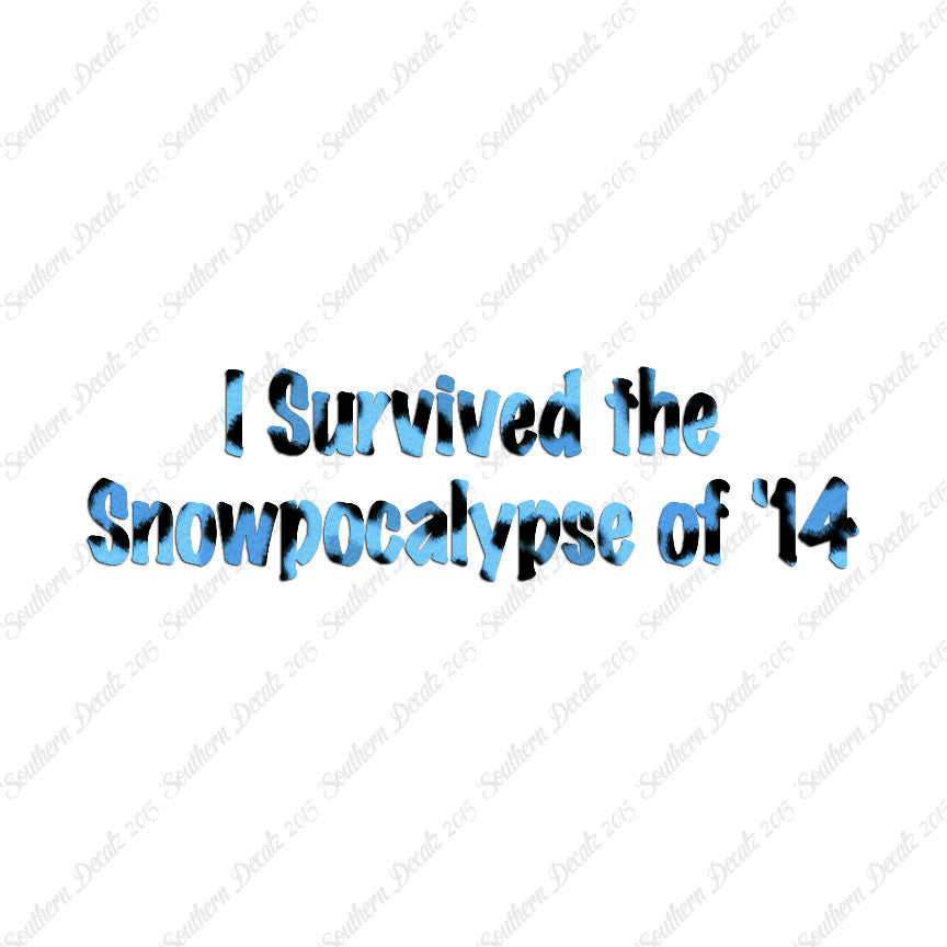 Survived Snow pocalypse