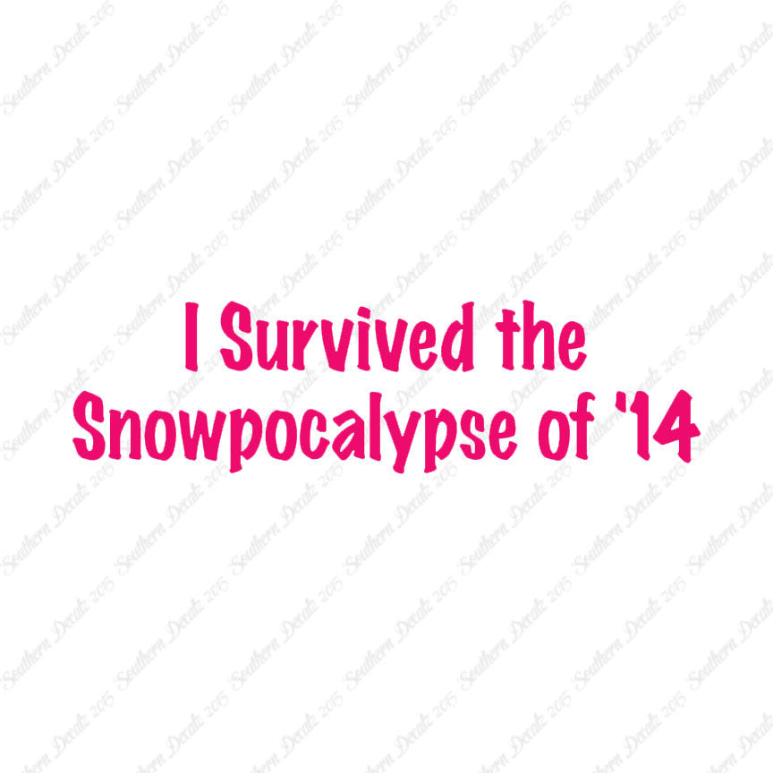 Survived Snow pocalypse