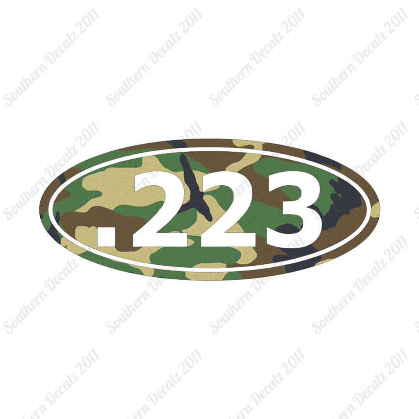 Ammo .223 Rifle
