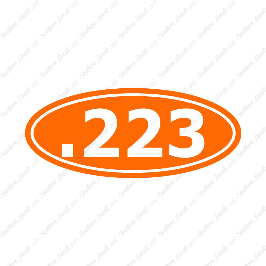 Ammo .223 Rifle