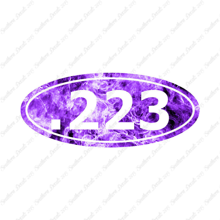 Ammo .223 Rifle
