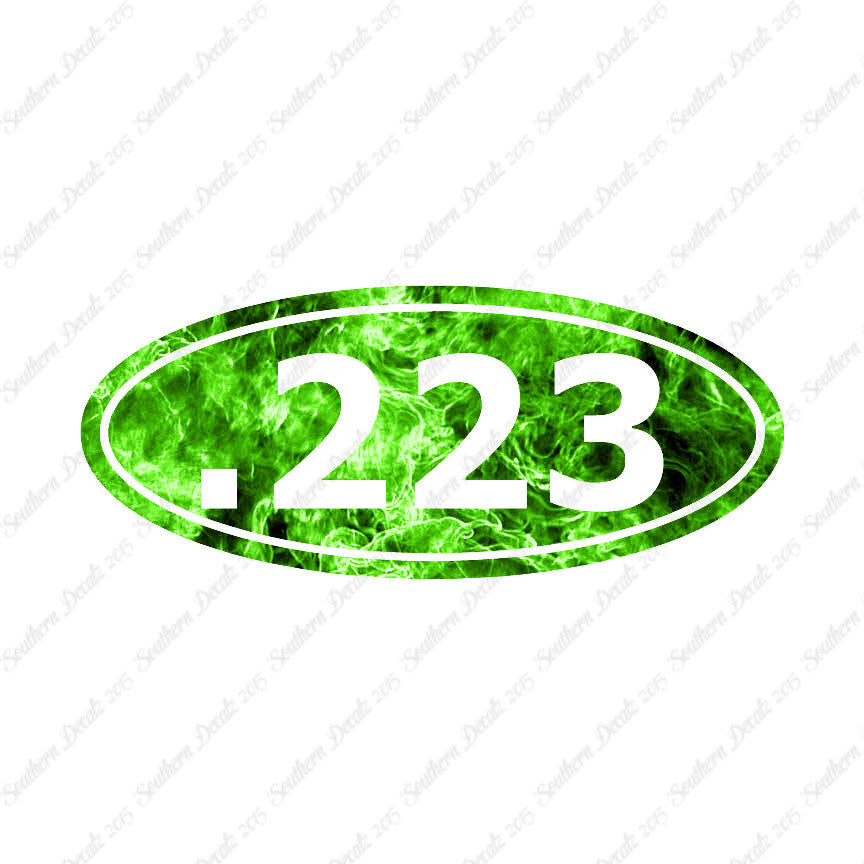 Ammo .223 Rifle