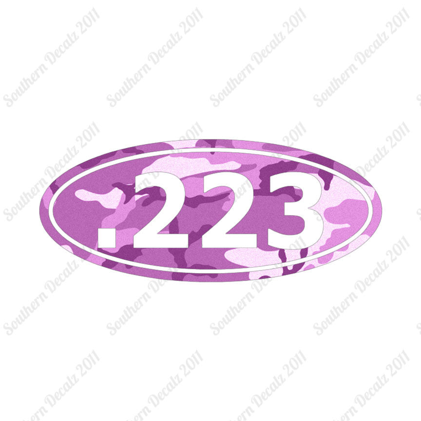 Ammo .223 Rifle