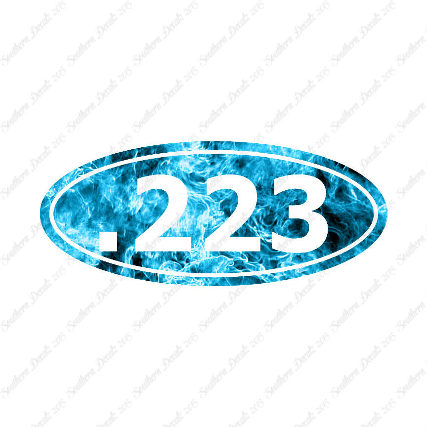Ammo .223 Rifle