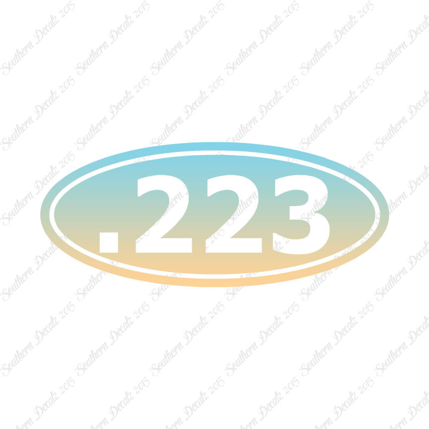 Ammo .223 Rifle