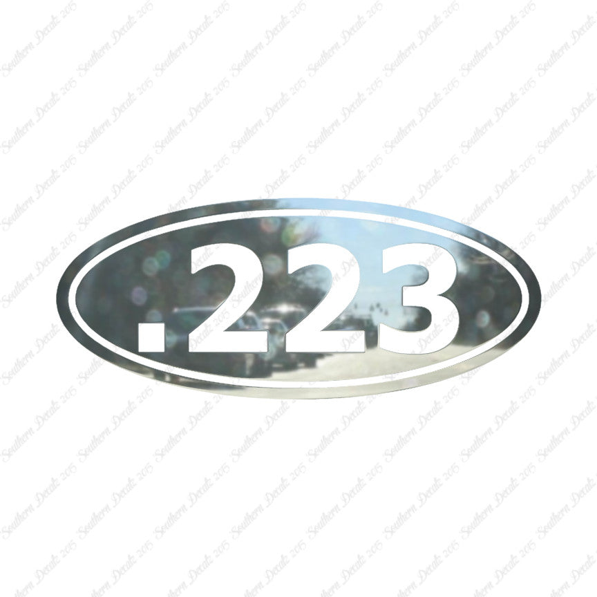 Ammo .223 Rifle