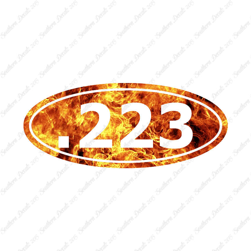 Ammo .223 Rifle