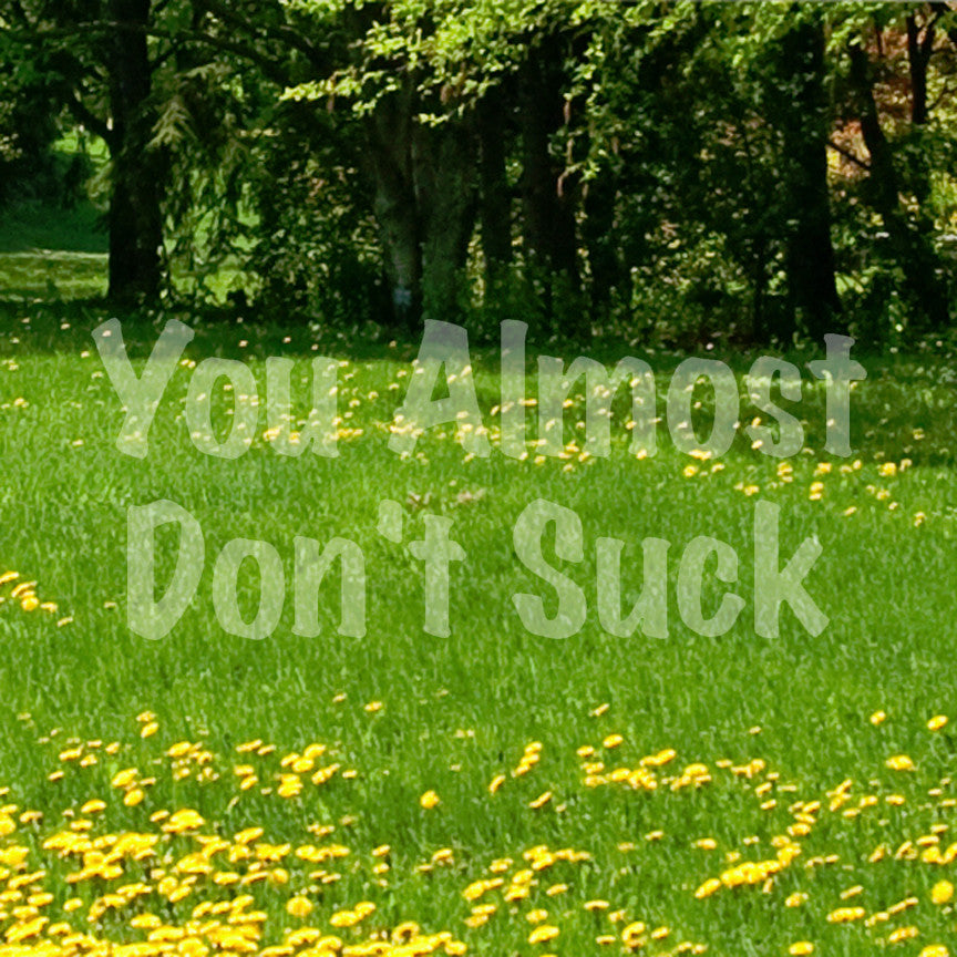 You Almost Don't Suck