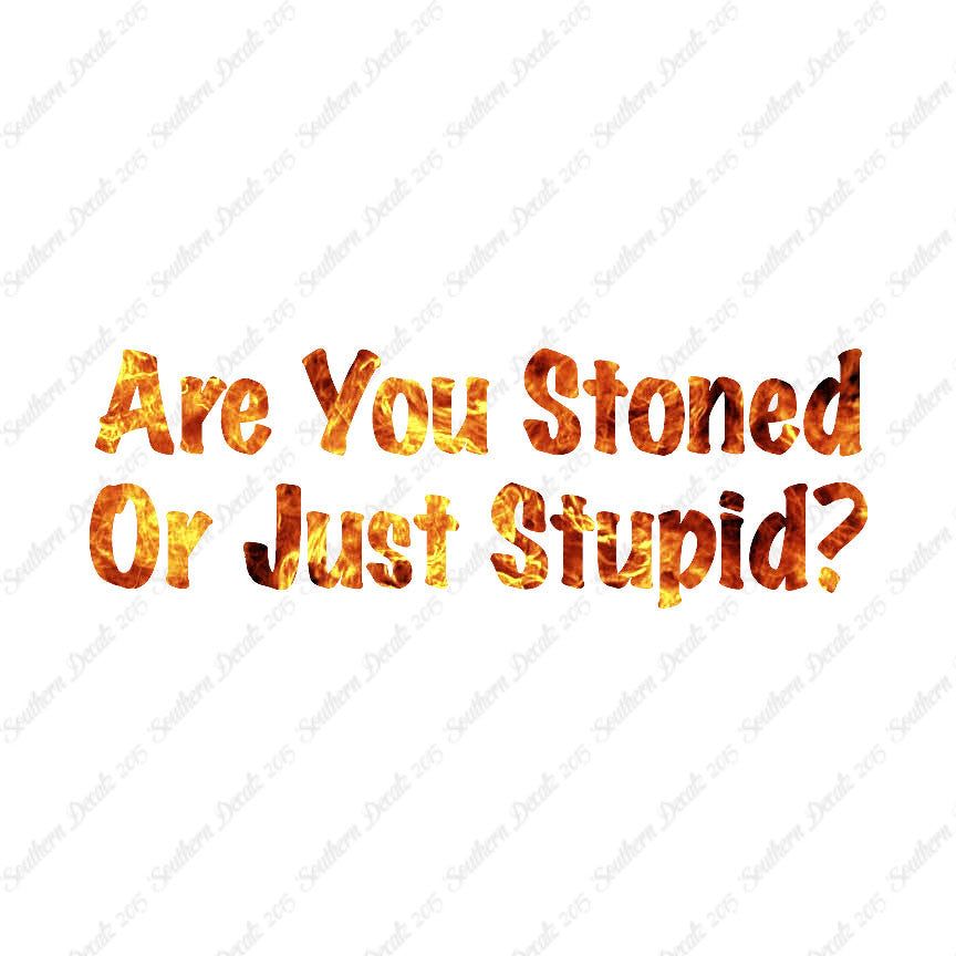 Stoned Or Stupid