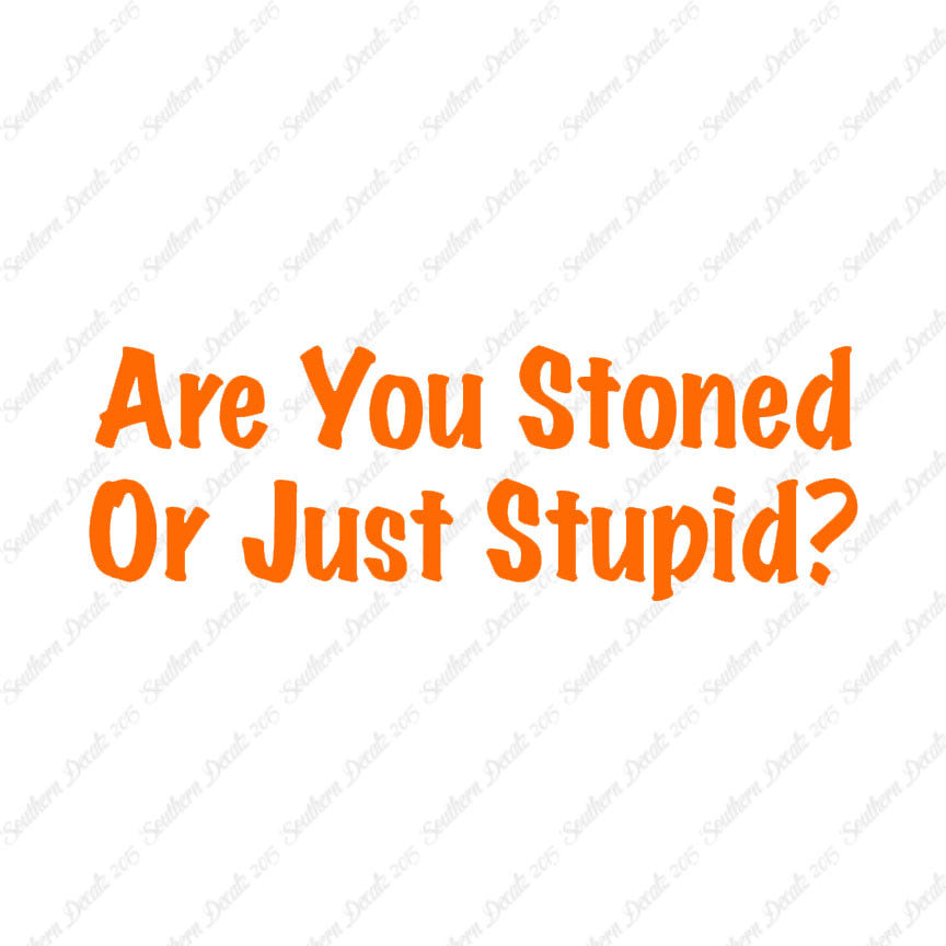 Stoned Or Stupid