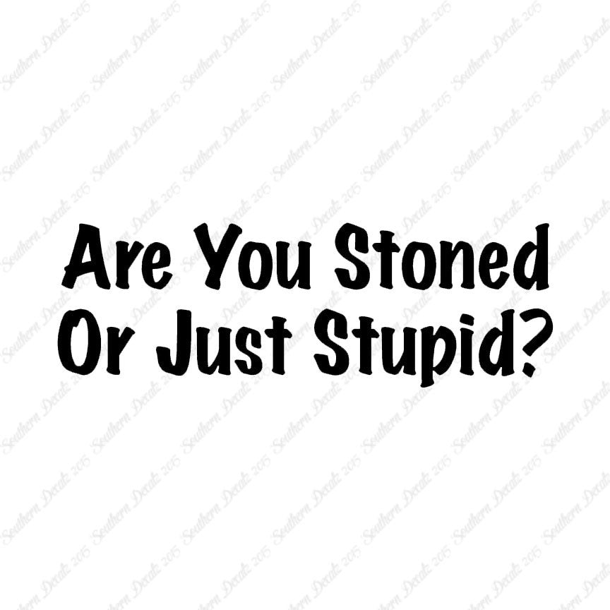 Stoned Or Stupid