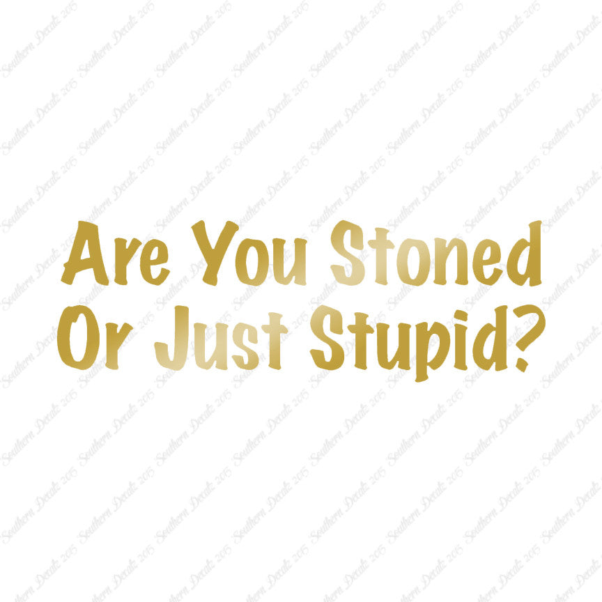 Stoned Or Stupid