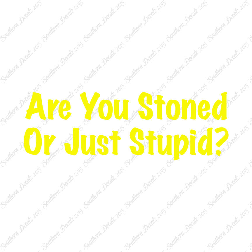 Stoned Or Stupid