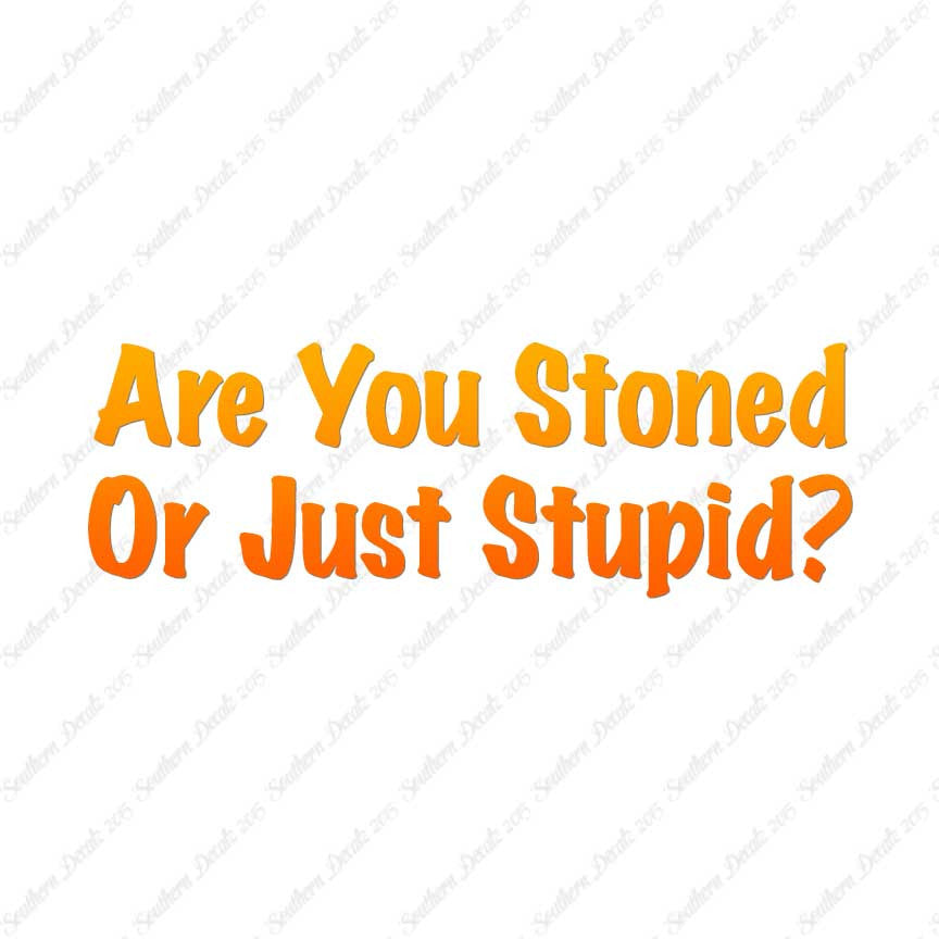 Stoned Or Stupid