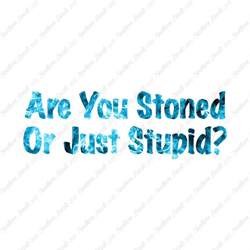 Stoned Or Stupid