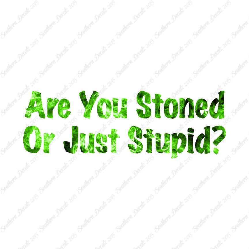 Stoned Or Stupid