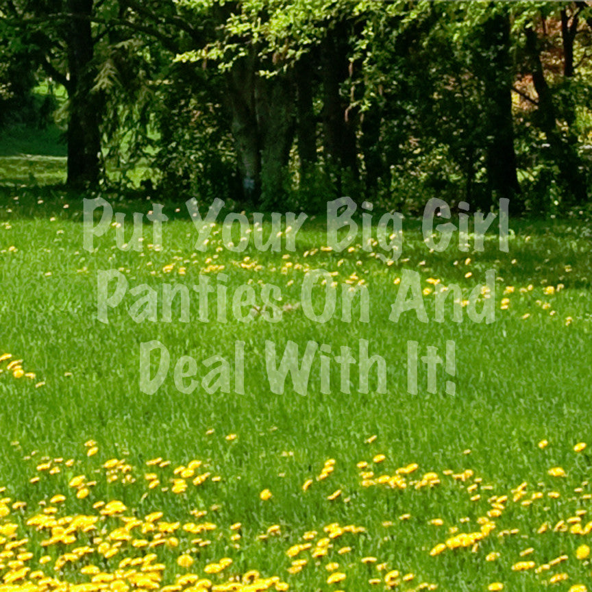 Big Girl Panties And Deal With It