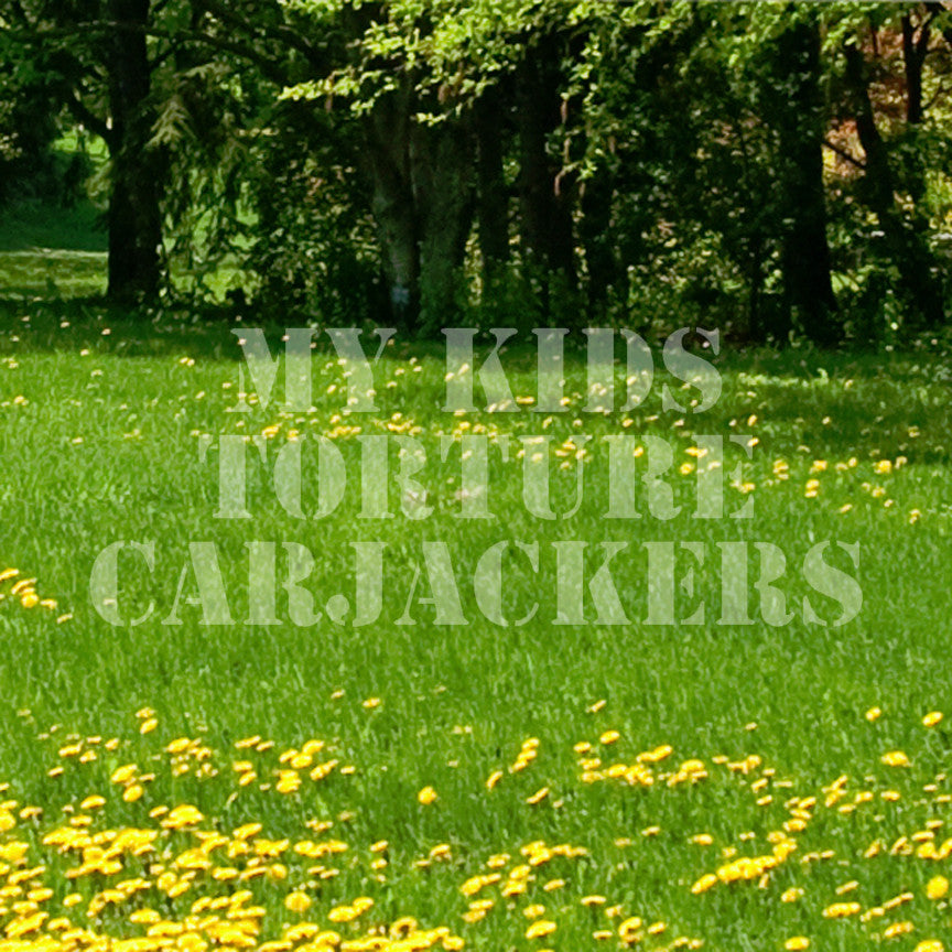 My Kids Torture Carjackers