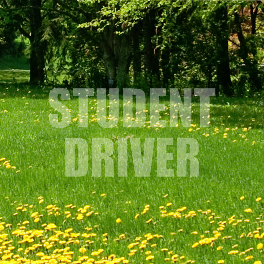Student Driver
