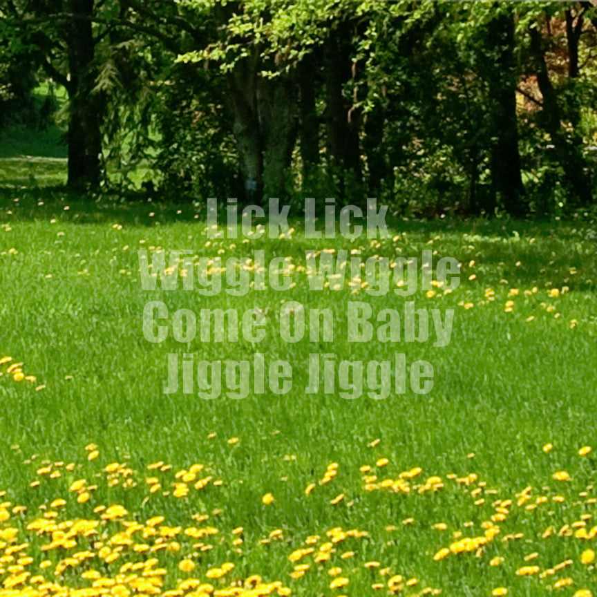 Lick Wiggle Baby Jiggle