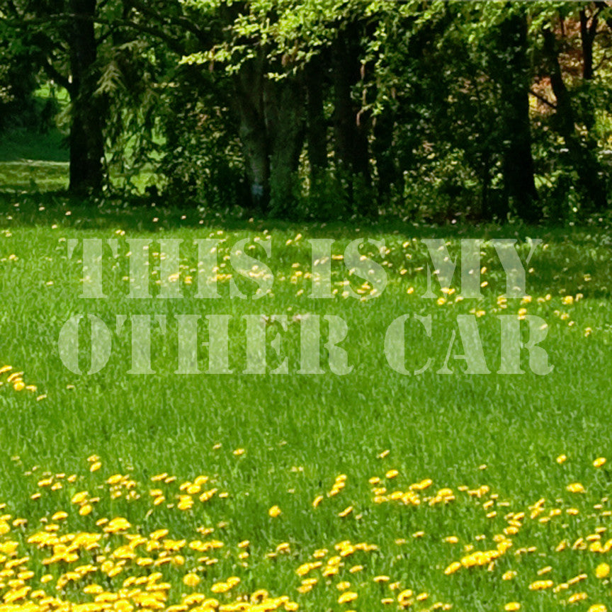 This Is My Other Car