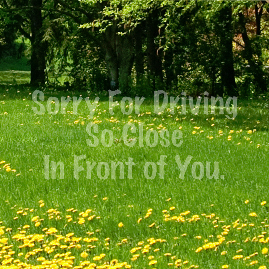 Sorry Driving Close Infront