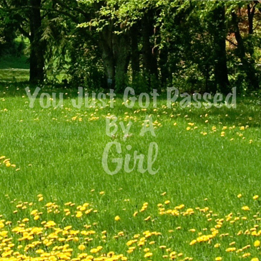 Just Got Passed By A Girl