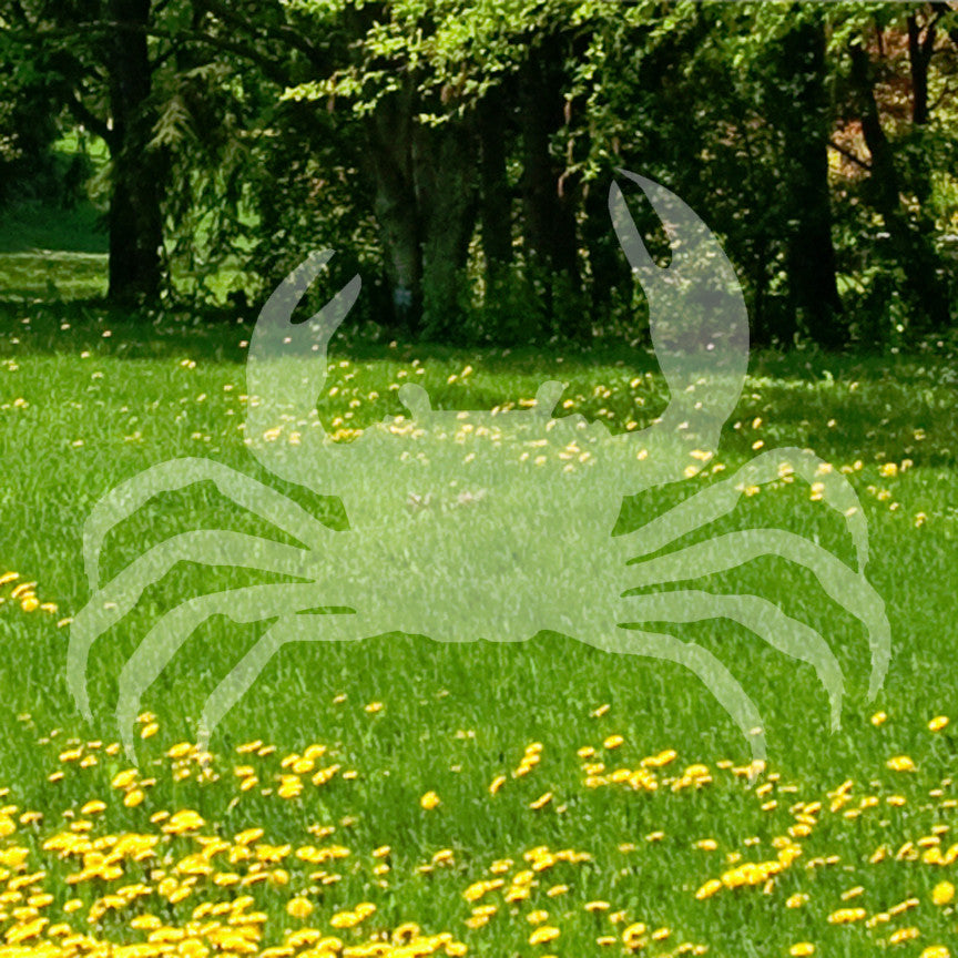 Crab Claw Pinch