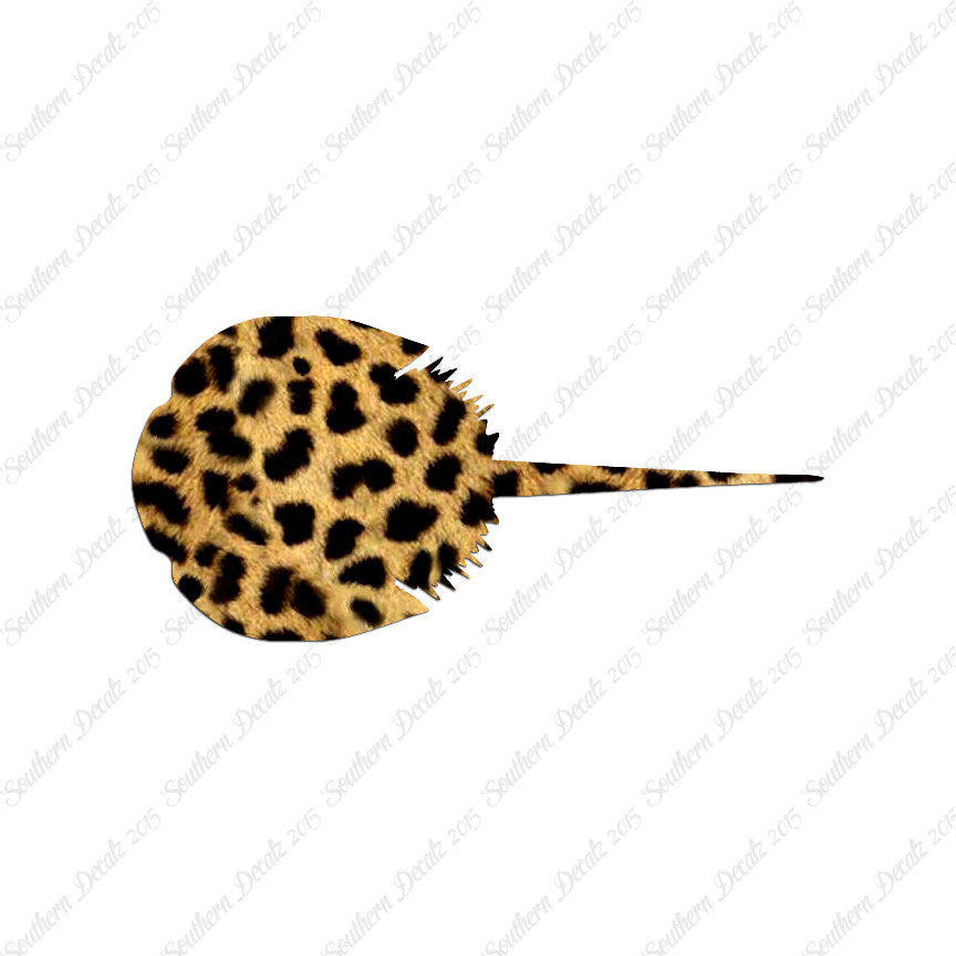 Manta Sting Ray