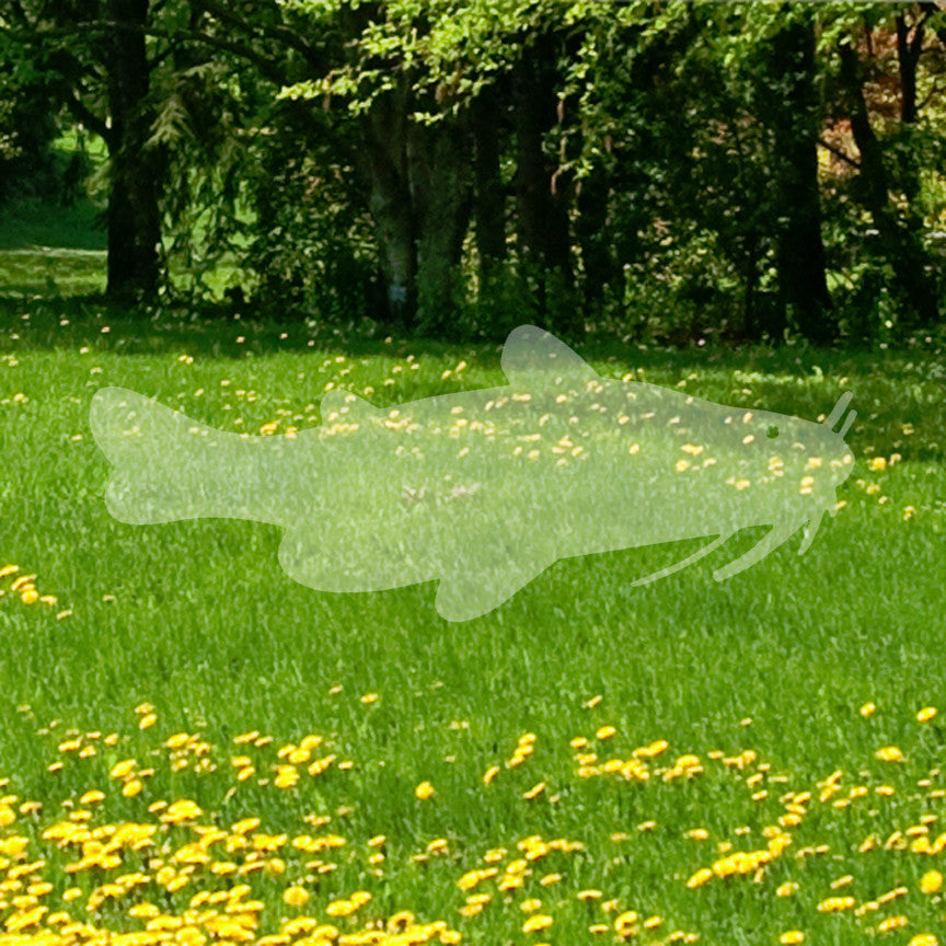 Catfish Silhouette