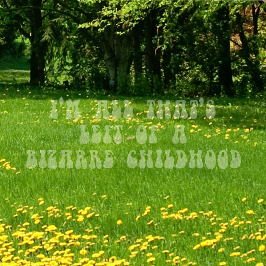 Bizarre Childhood