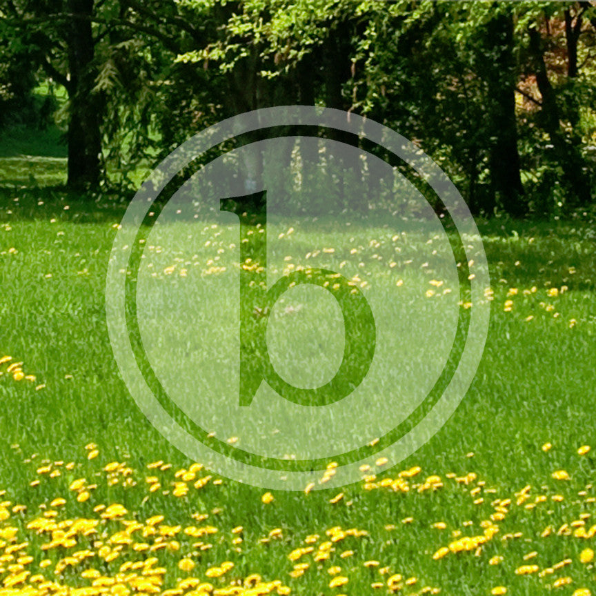 Typewriter Font B Initial