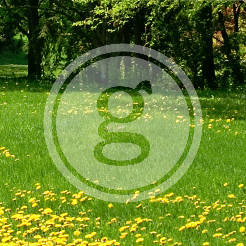 Typewriter Font G Initial