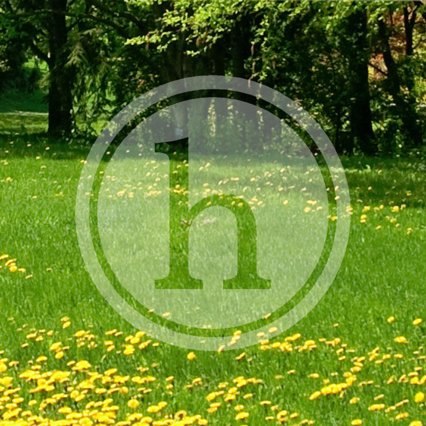 Typewriter Font H Initial