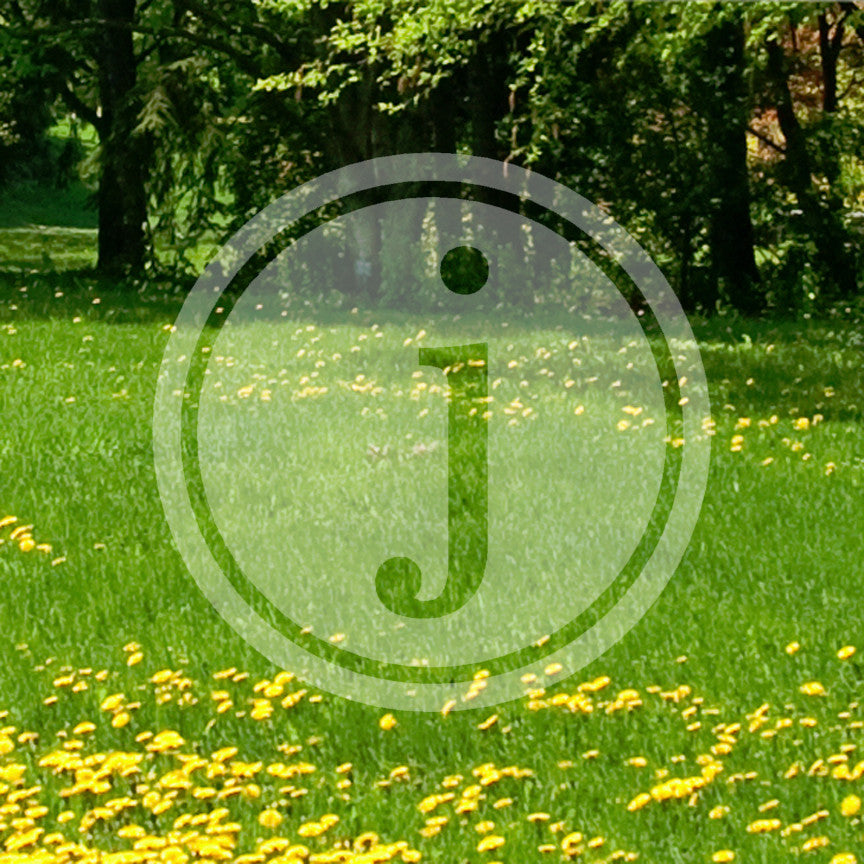 Typewriter Font J Initial