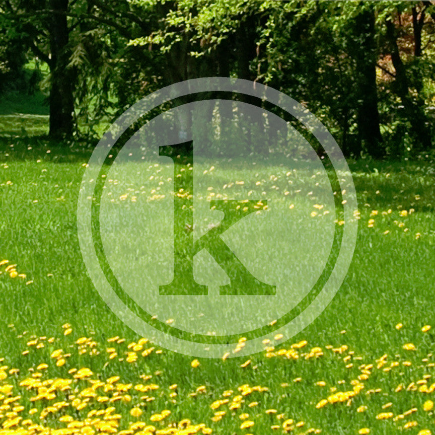 Typewriter Font K Initial