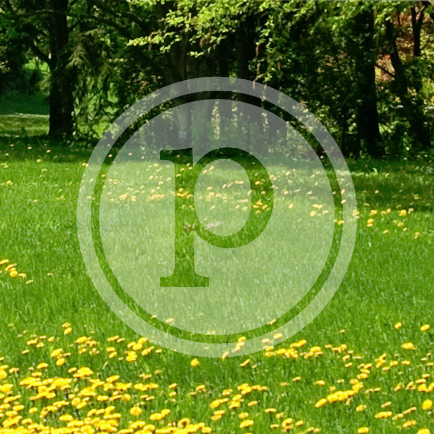 Typewriter Font P Initial