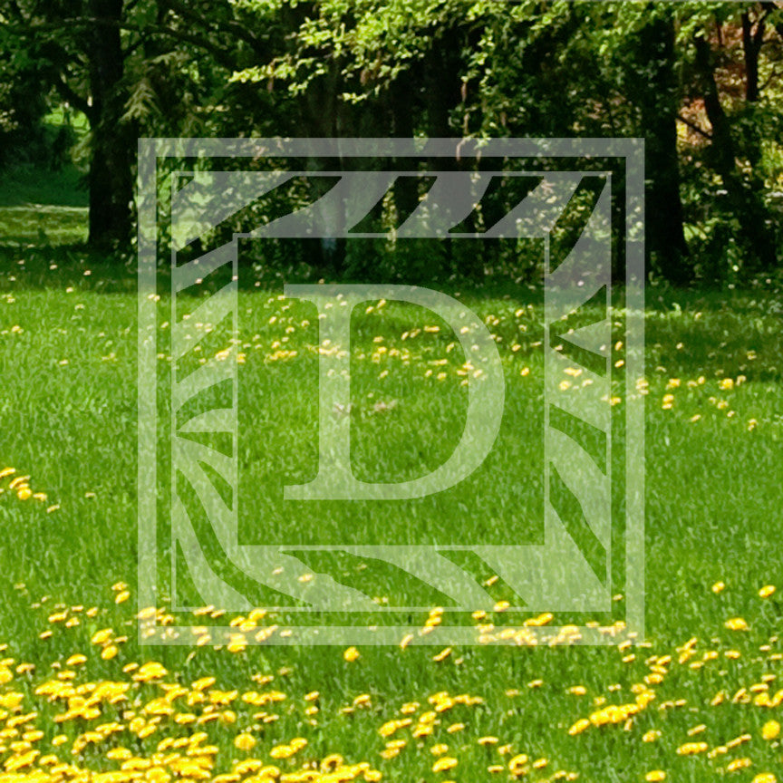 Zebra Decorative D Initial