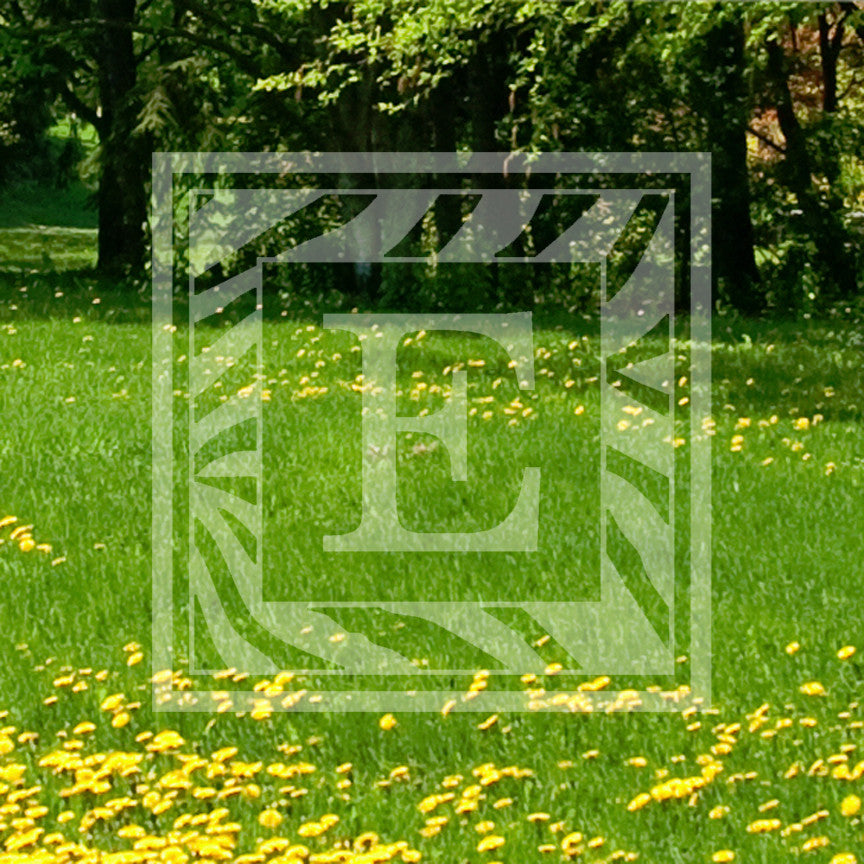 Zebra Decorative E Initial