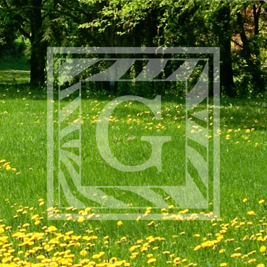 Zebra Decorative G Initial